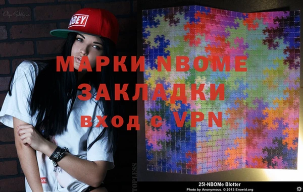 прущие грибы Вязьма