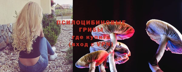 бошки Волоколамск